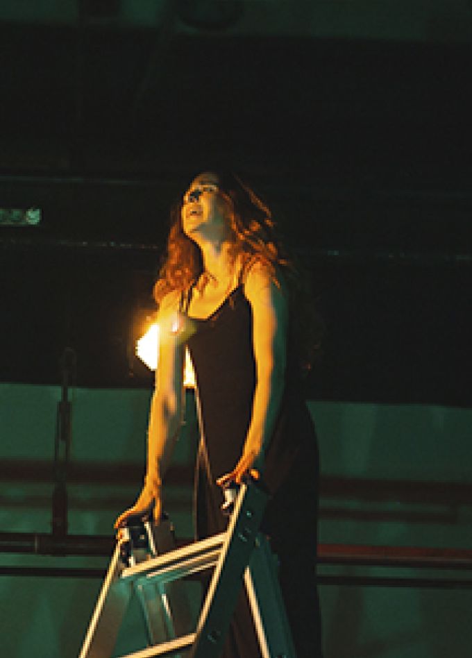 Уличённая ласточка