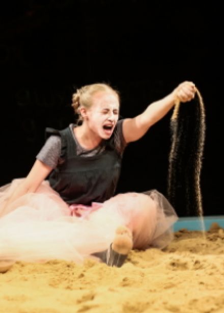 Двенадцатая ночь, или Как угодно