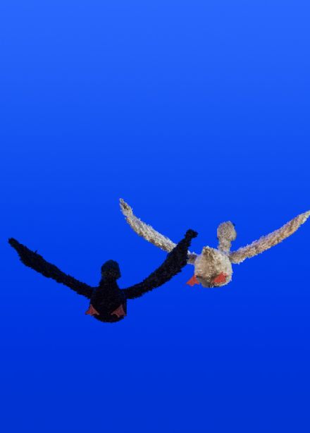 Дикий