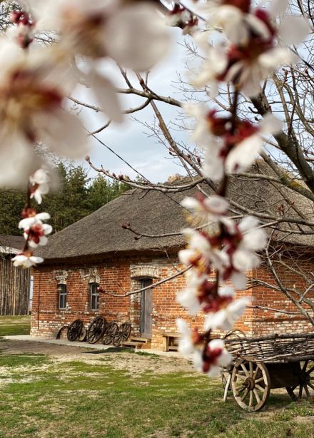 Все по правде