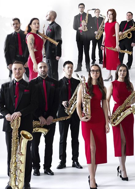 Мировые шедевры на 12 саксофонах. Большой Ансамбль Саксофонов NOVO-12