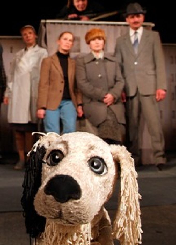 Белый Бим Черное Ухо