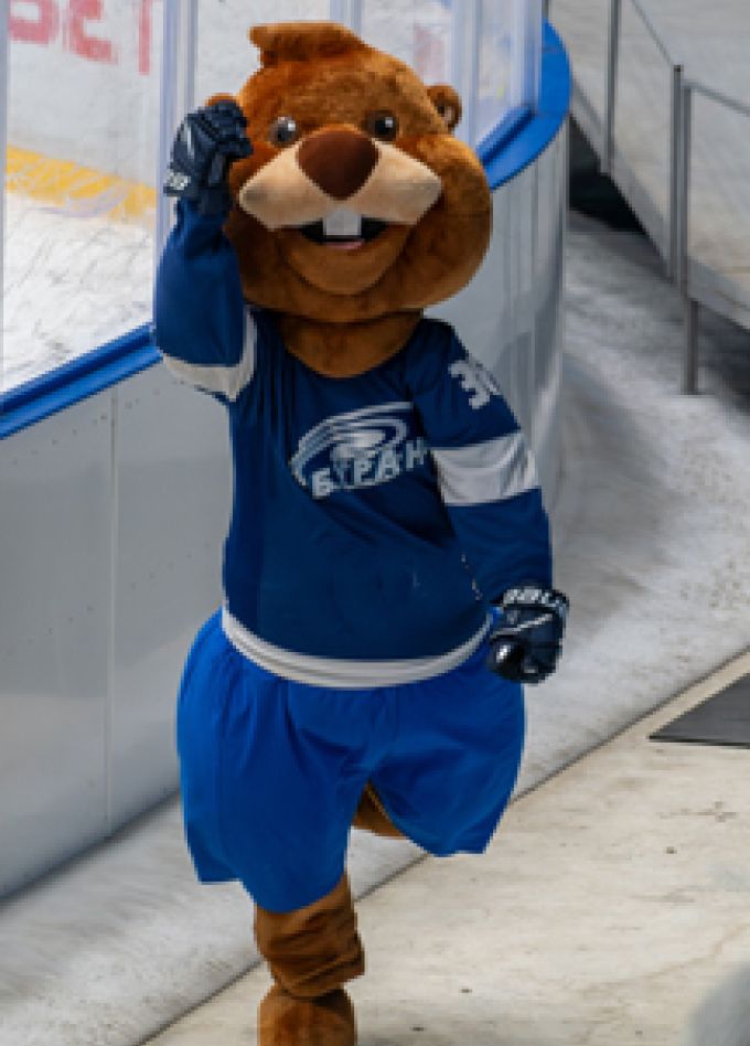 Домашние игры ХК "Буран" в сезоне 2025-2026