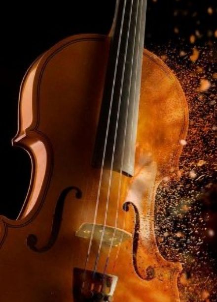 Драган Средоевич (скрипка, Сербия), Глеб Степанов (виолончель, Россия)